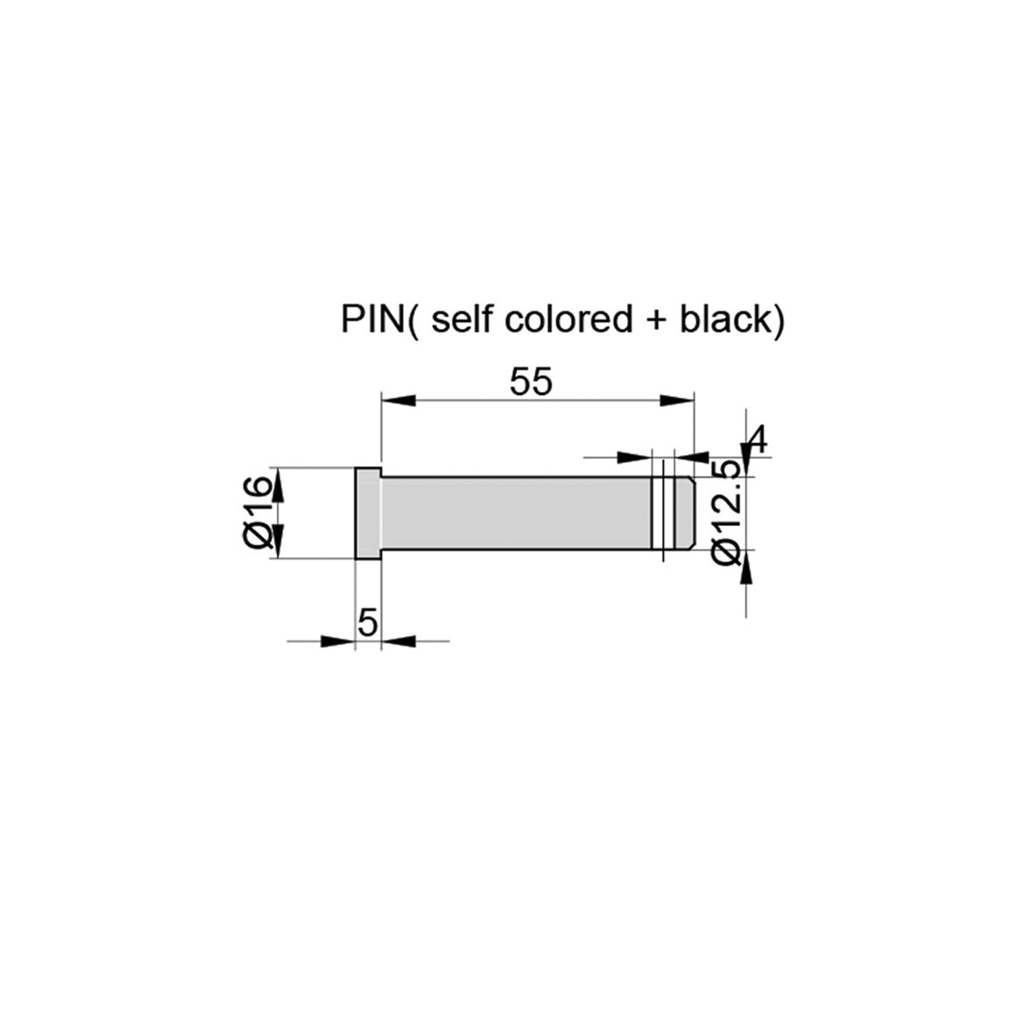 ELEPHANT FOOT Alioto Group